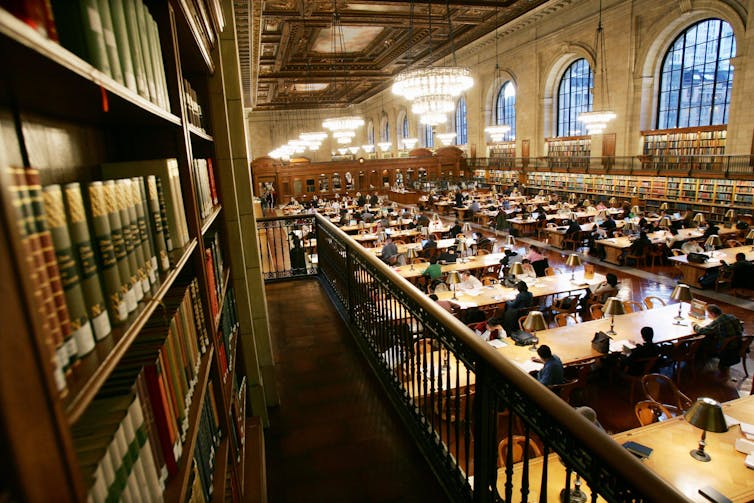 essays about libraries