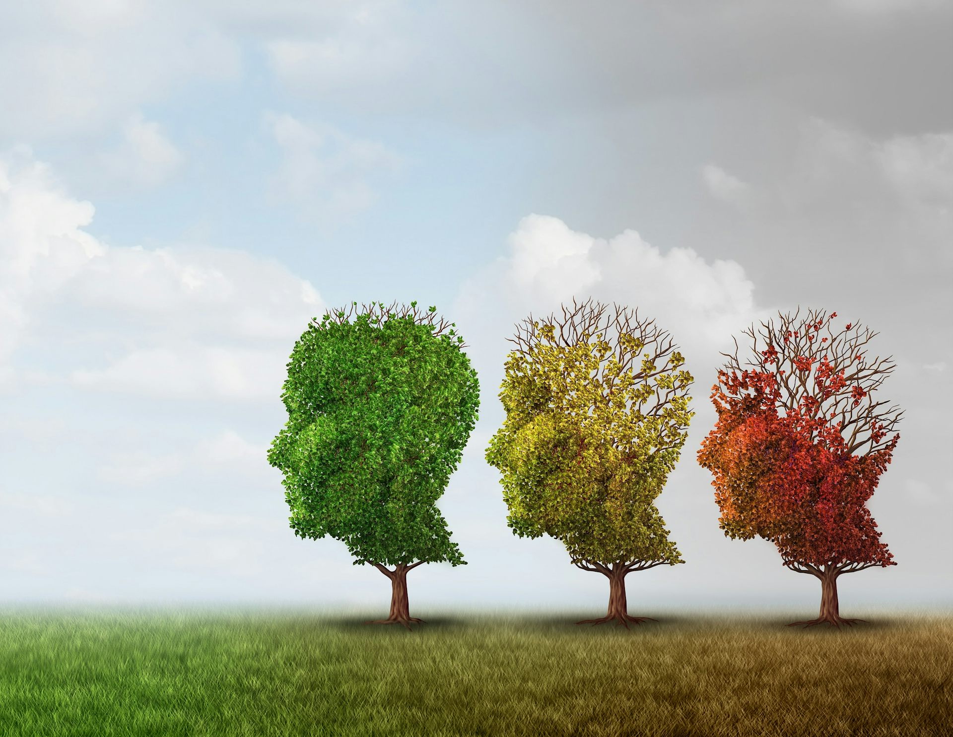 Contemporary Environments for People with Dementia