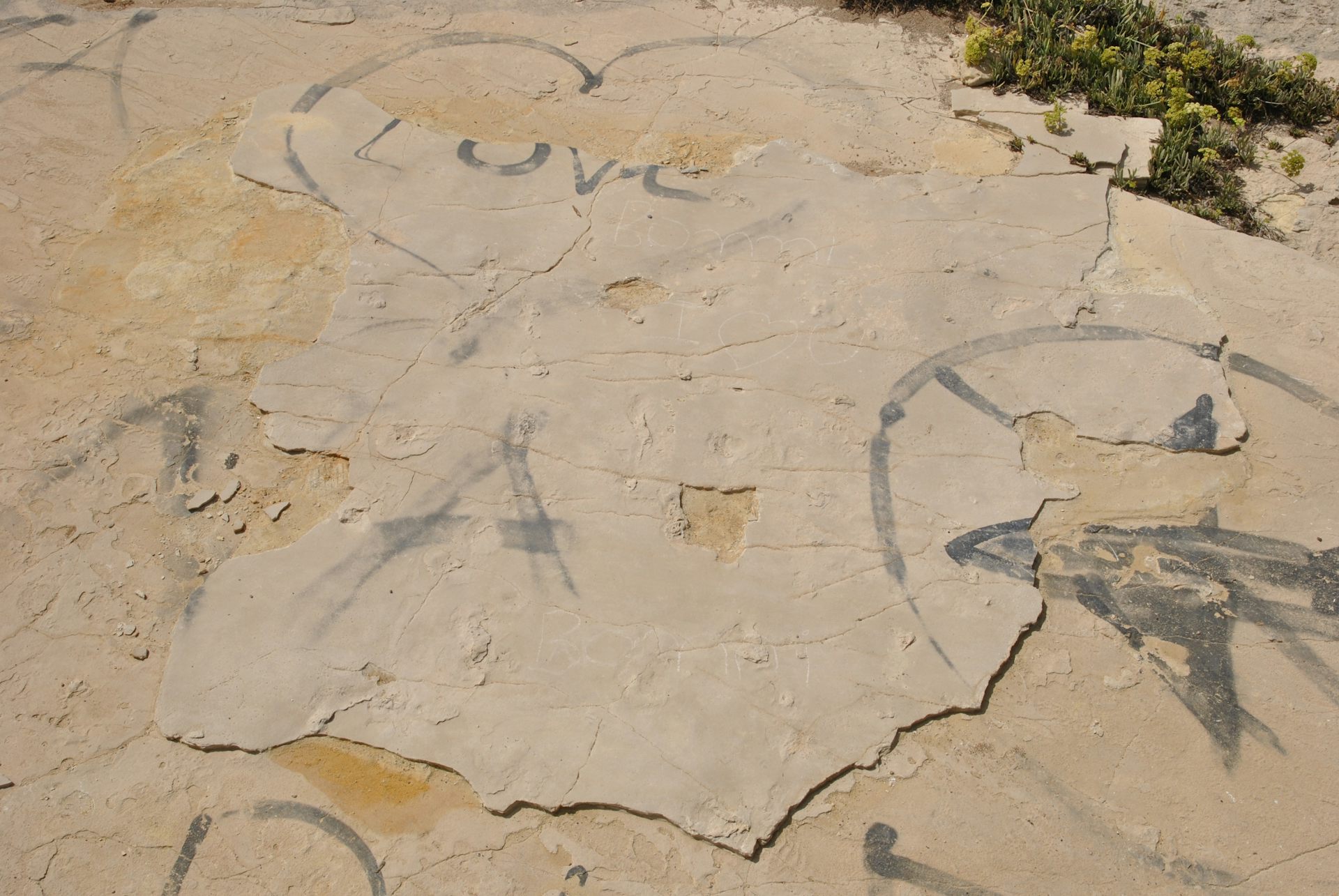 File 20170915 13360 lvndej.jpg?ixlib=rb 1.1