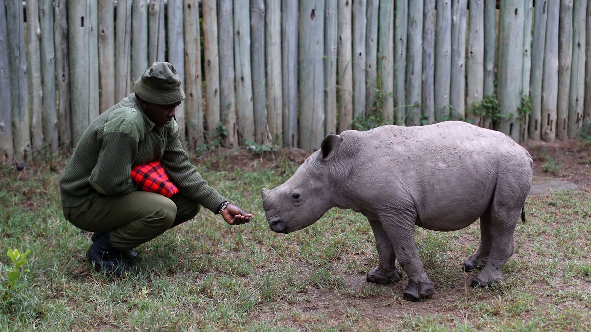 The fight against poaching must shift to empowering communities