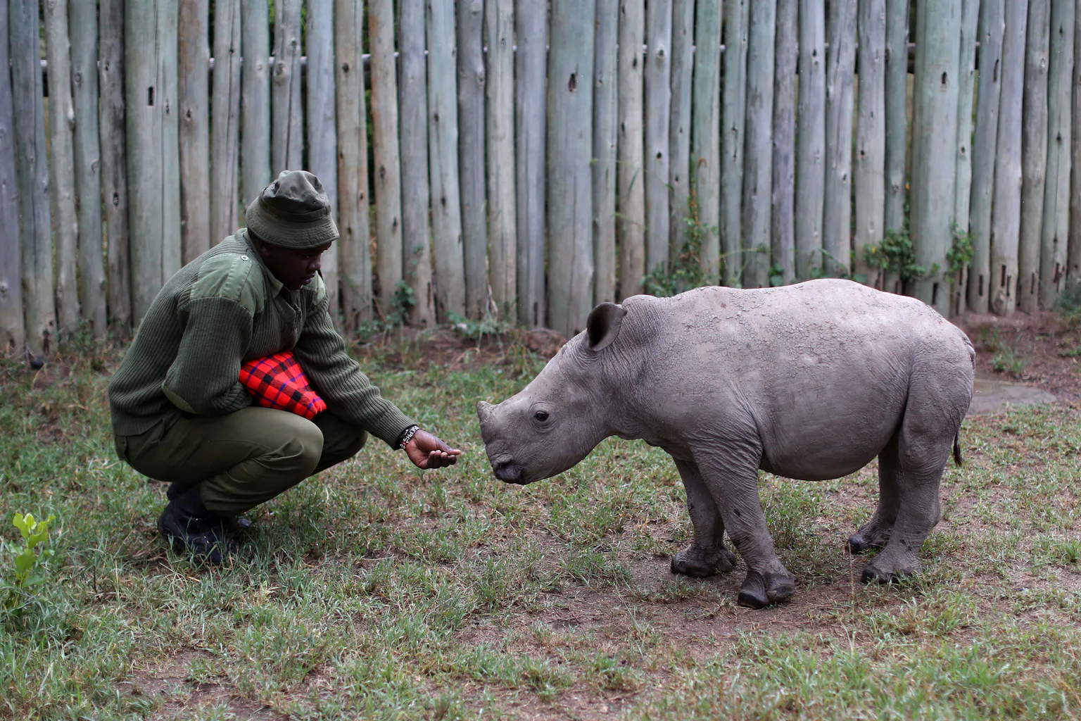 The fight against poaching must shift to empowering communities