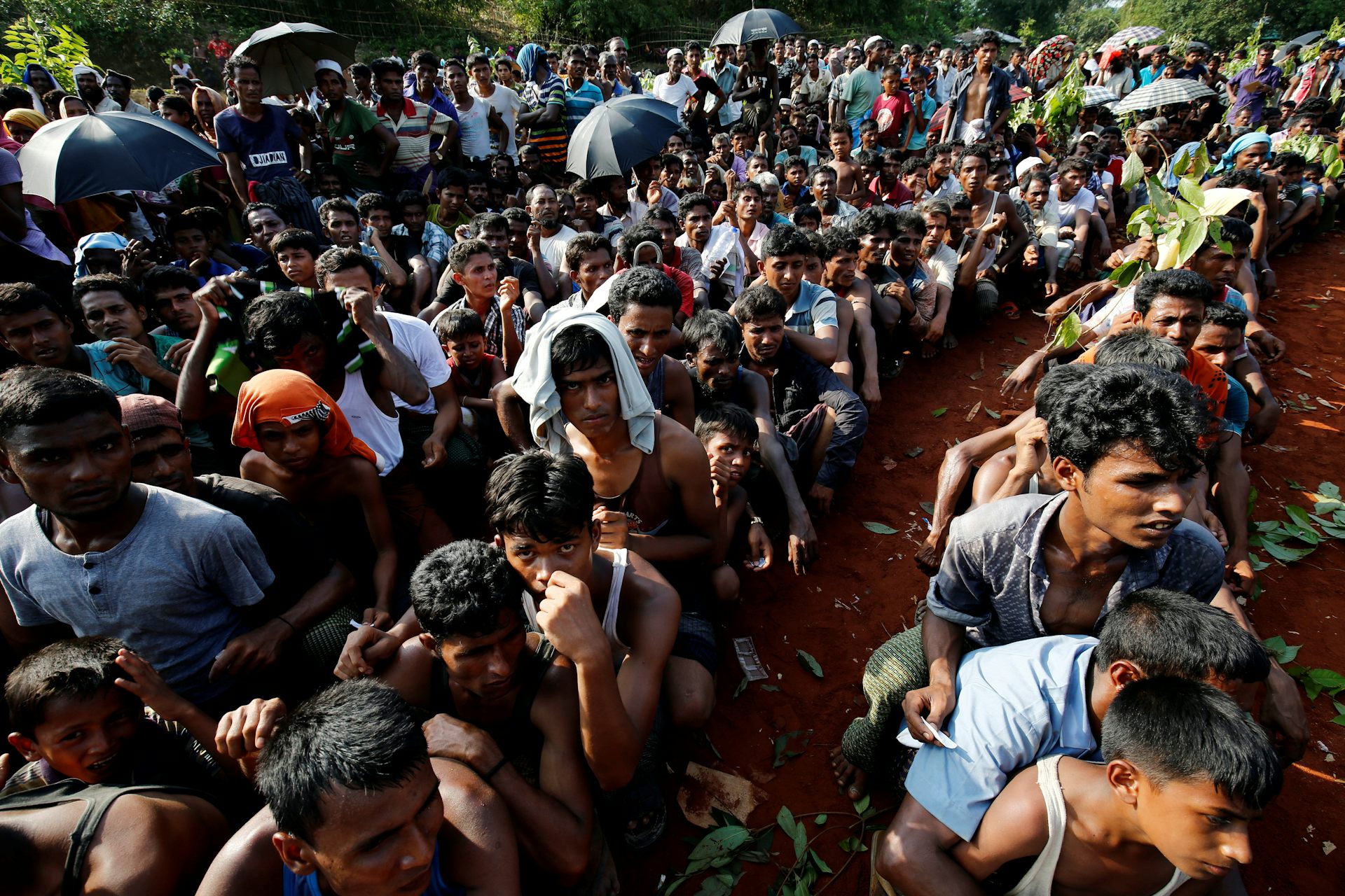 Rohingya Go After Myanmar : Myanmar Rohingya What You Need To Know ...