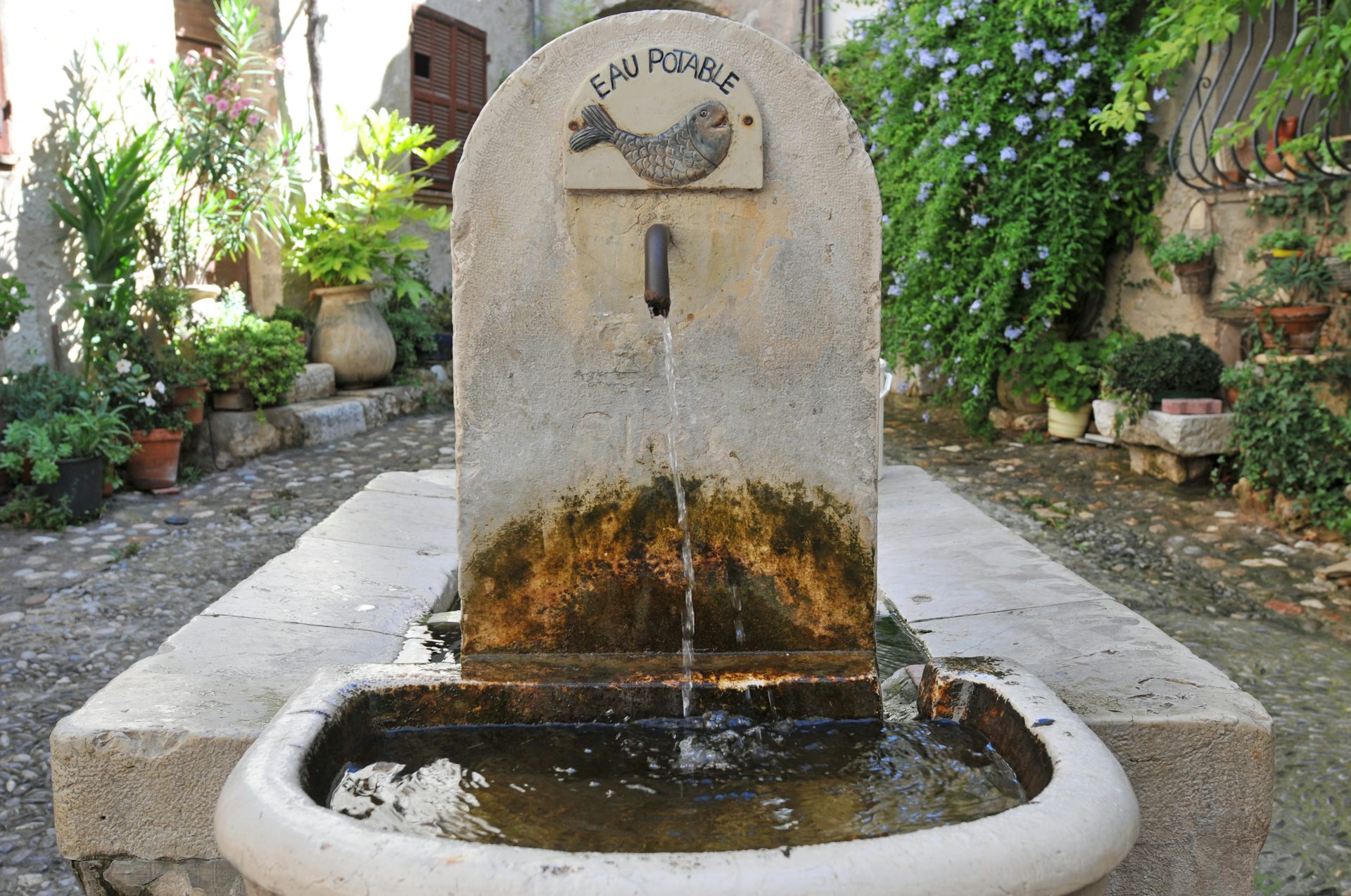 Est Il Idiot De Laver Les Rues Avec De Leau Potable
