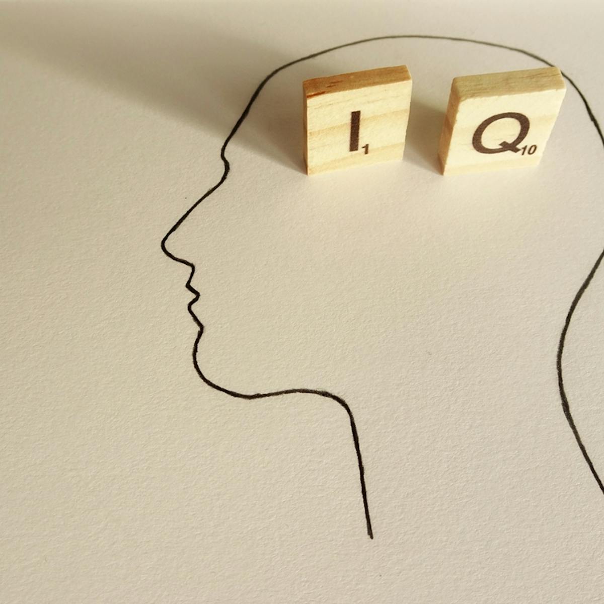 The Iq Test Wars Why Screening For Intelligence Is Still So Controversial
