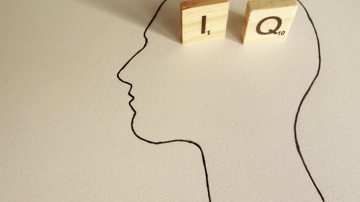 The IQ test wars: why screening for intelligence is still so ...