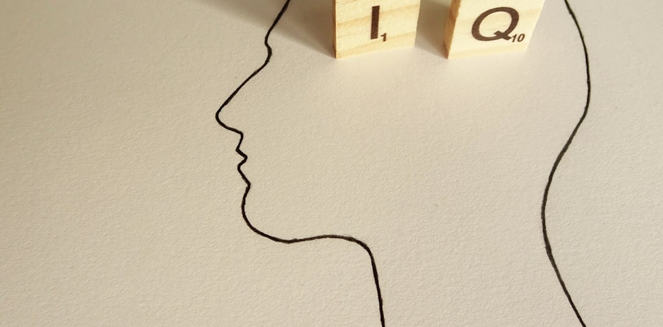 The Iq Test Wars Why Screening For Intelligence Is Still So