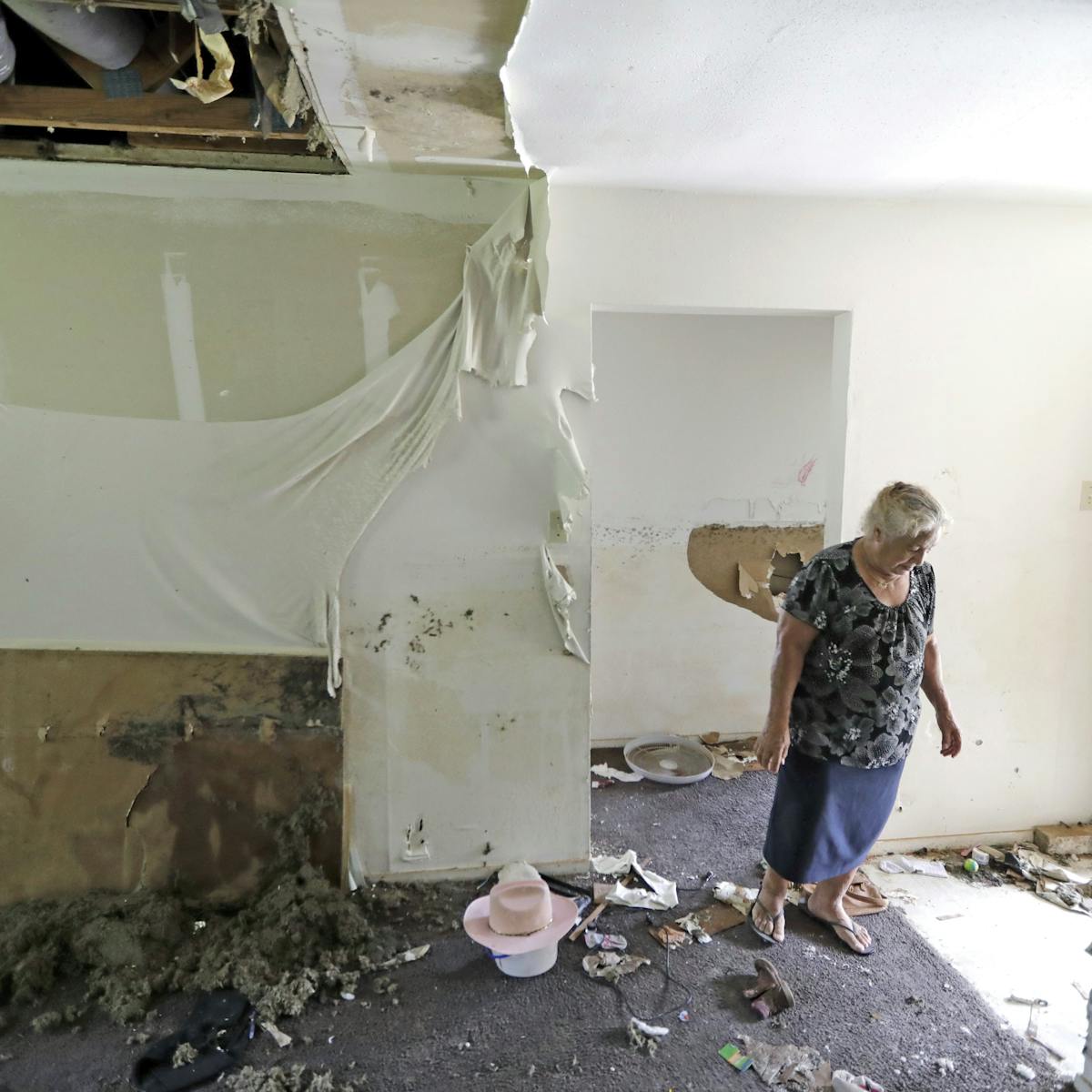 Beyond Bleach Mold A Long Term Problem After Flooding And Disasters