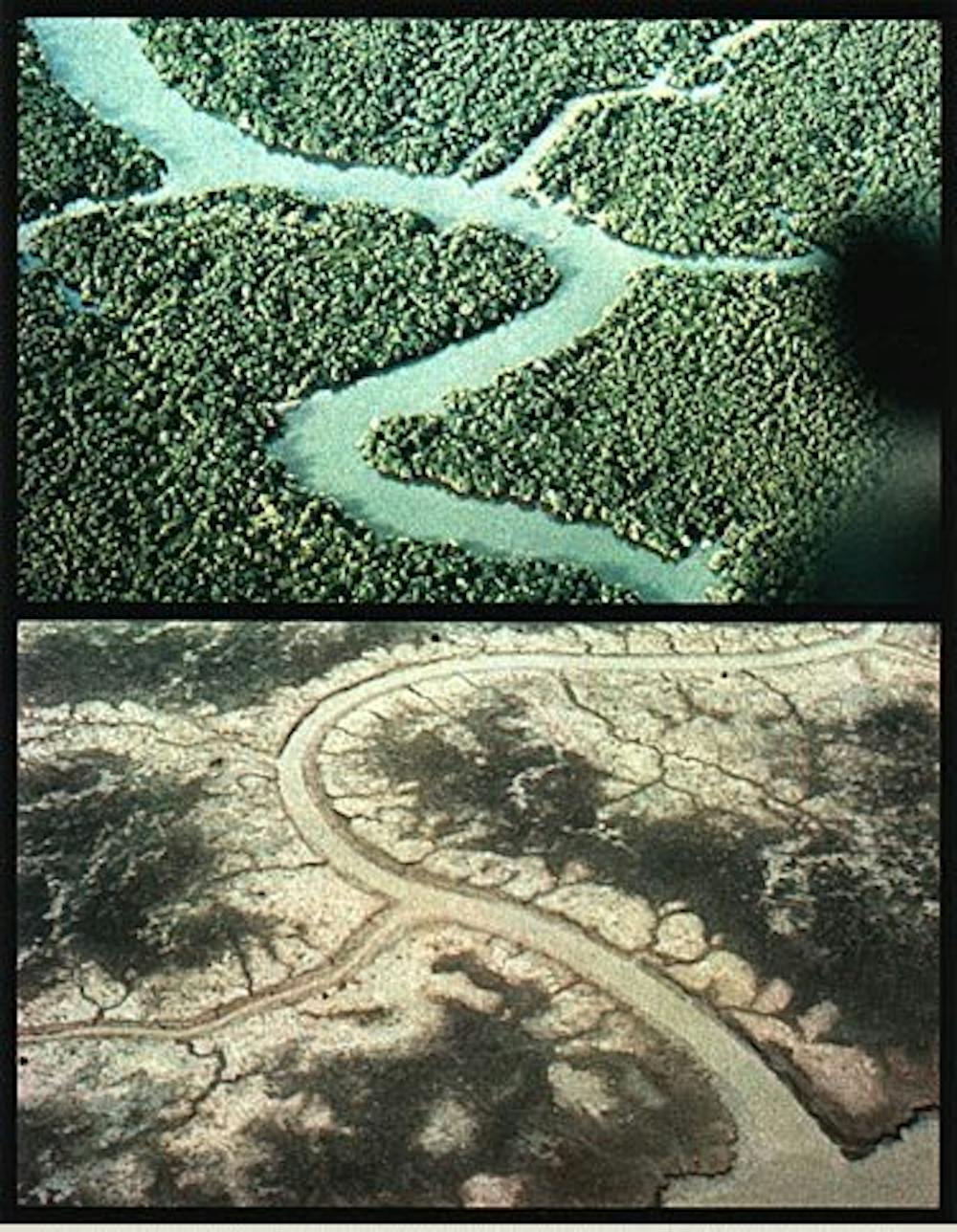 Agent Orange Exposed How U S Chemical Warfare In Vietnam Unleashed A Slow Moving Disaster Agent Orange Exposed How U S Chemical Warfare In Vietnam Unleashed A Slow Moving Disaster
