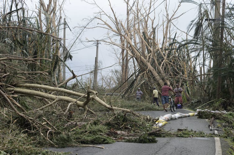 Understanding the root causes of natural disasters