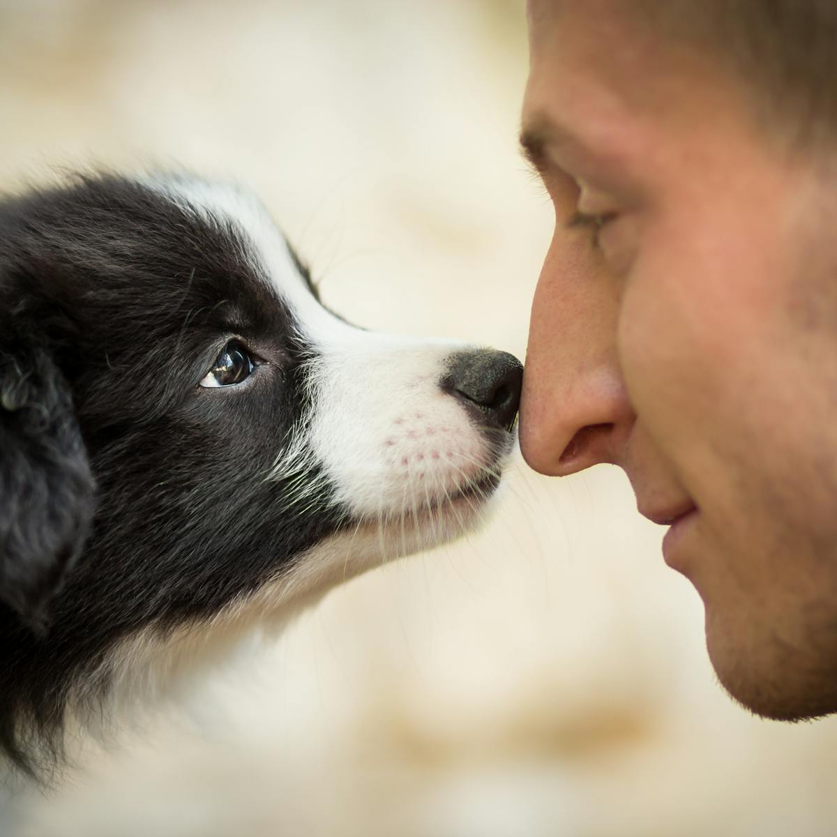The science behind why some people love animals and others couldn't care  less