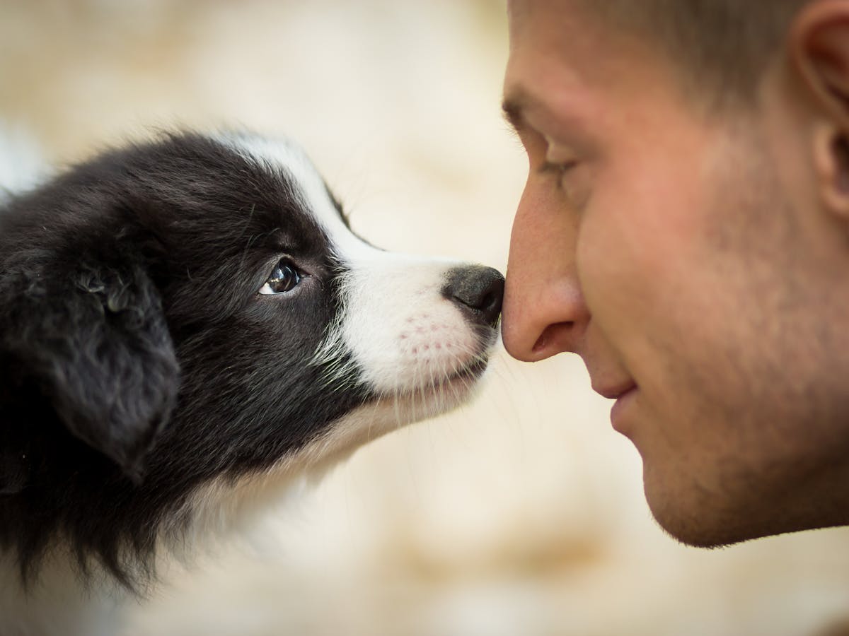 The Science Behind Why Some People Love Animals And Others Couldn T Care Less