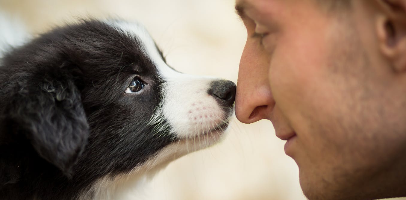 The science behind why some people love animals and others couldn't care  less