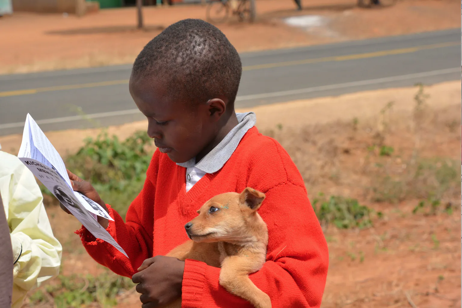 How to end human deaths from rabies: lessons from Kenya