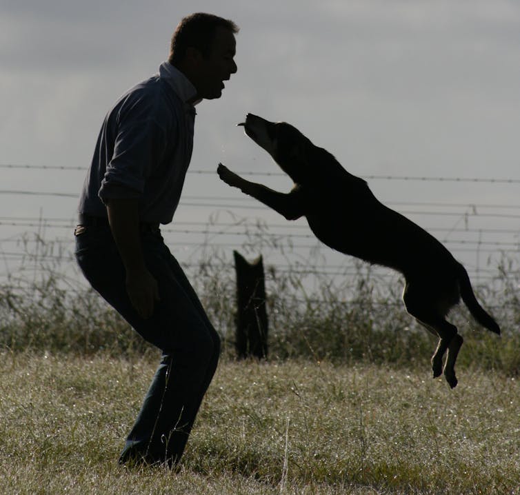 File 20170928 15028 bvmdp9.jpg?ixlib=rb 1.1