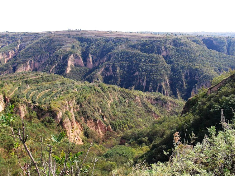 File 20170928 1483 5zq8j6.jpg?ixlib=rb 1.1