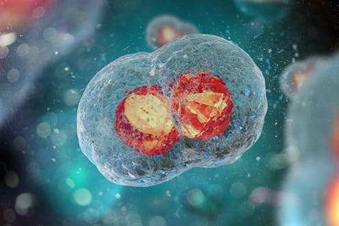 Genome editing of human embryos broadens ethics discussions Genome editing of human embryos broadens ethics discussions