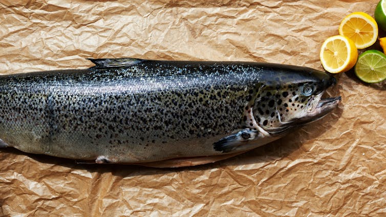 File 20170929 19823 15ndn8i.jpg?ixlib=rb 1.1