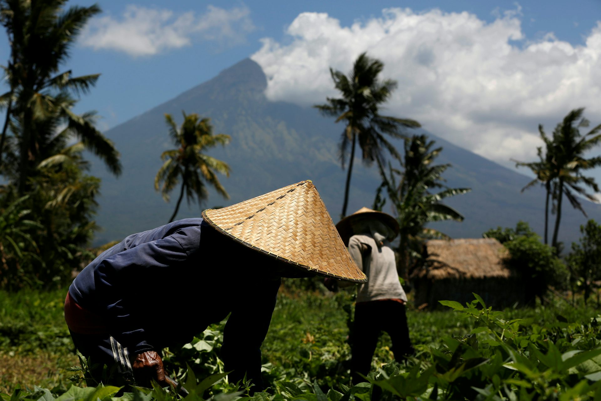 How Mount Agung's eruption can create the world's most fertile soil