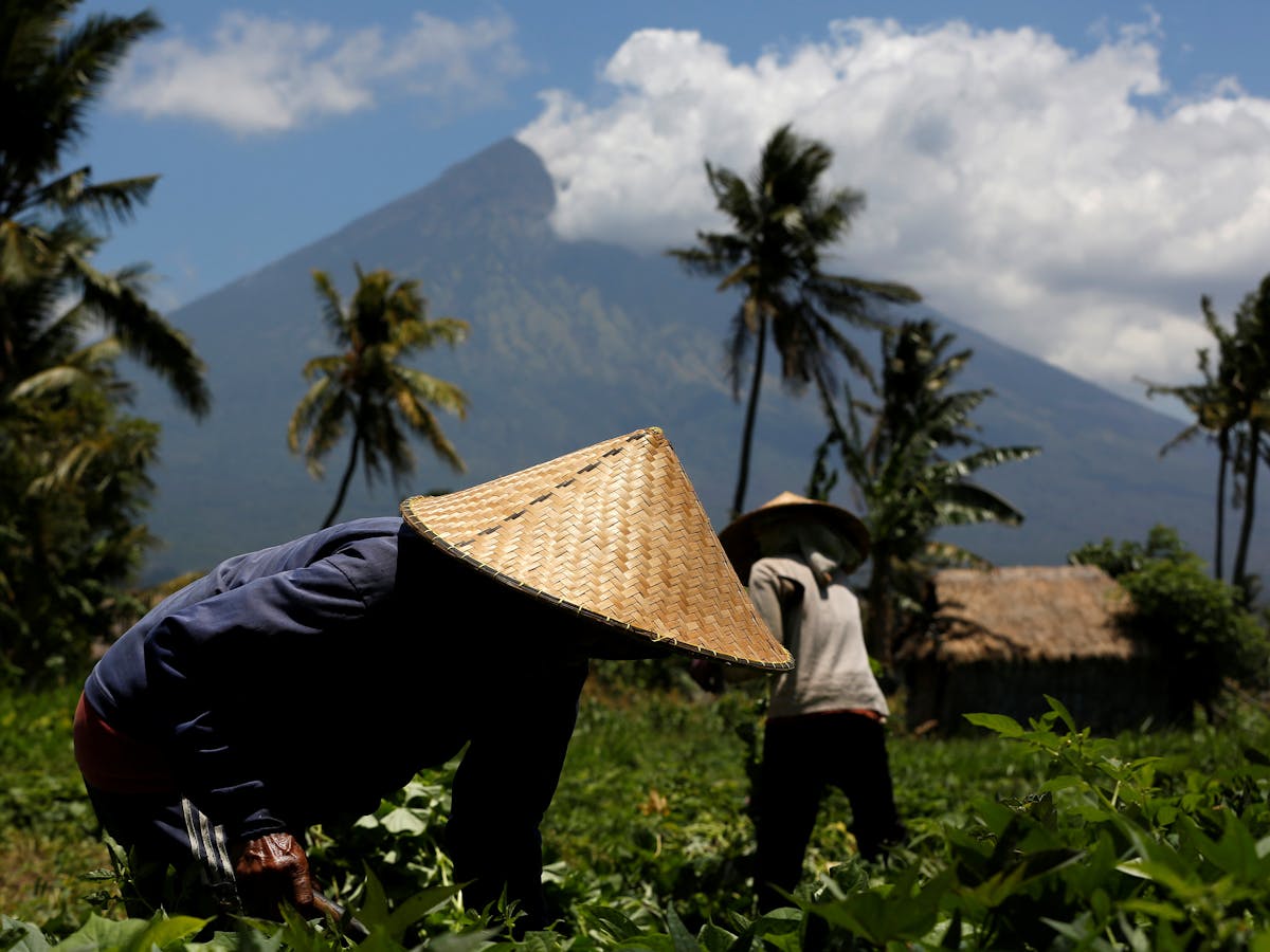 Letusan Gunung Agung Bisa Menghasilkan Tanah Tersubur Di Dunia