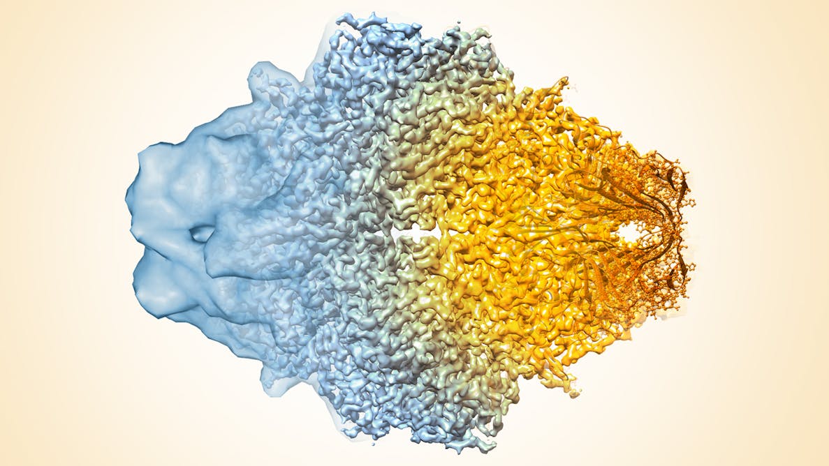 Electron microscopy and calorimetry of proteins in supercooled