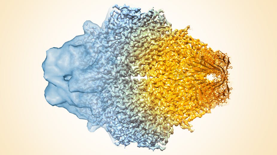 Chilled proteins and 3-D images: The cryo-electron microscopy technology  that just won a Nobel Prize