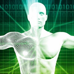 research topics on neuroplasticity