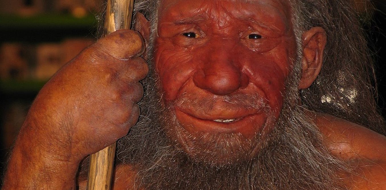Gene neandertaler What Is
