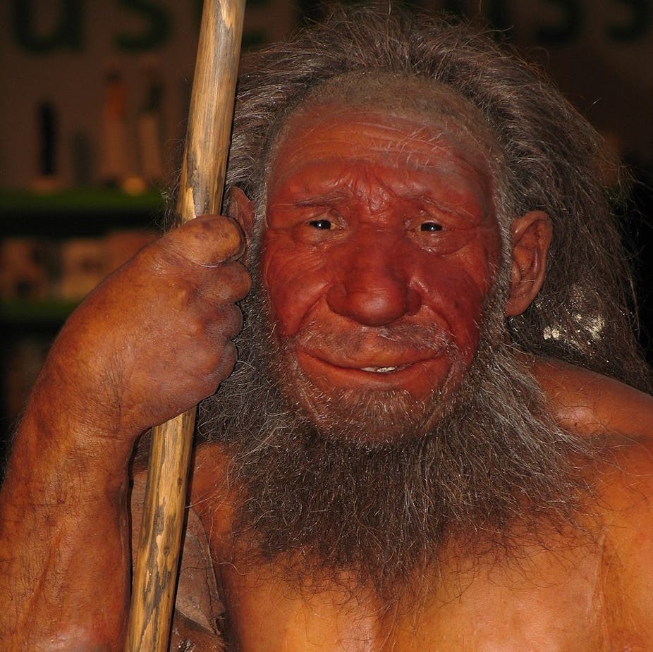 interesting facts about neanderthals