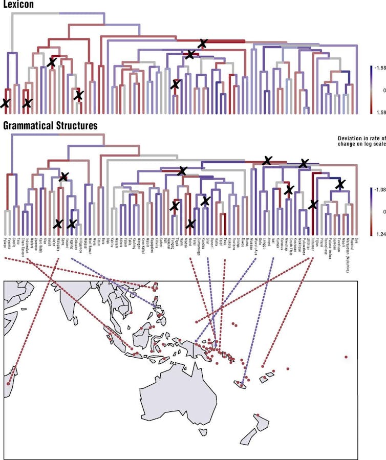 Evolutionary Biology Can Help Us Understand How Language Works United