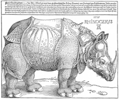 Albrecht Durer’s rhinoceros, 1515