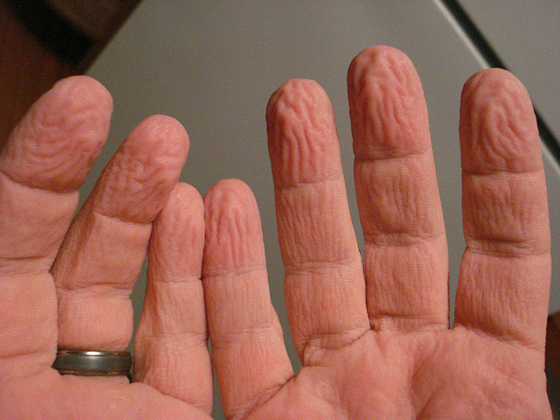 How finger wrinkles help us handle slippery stuff