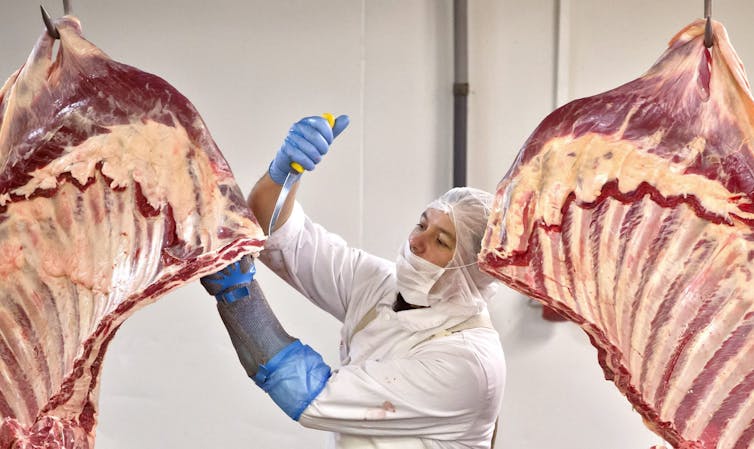 File 20171016 30997 41t9t5.jpg?ixlib=rb 1.1