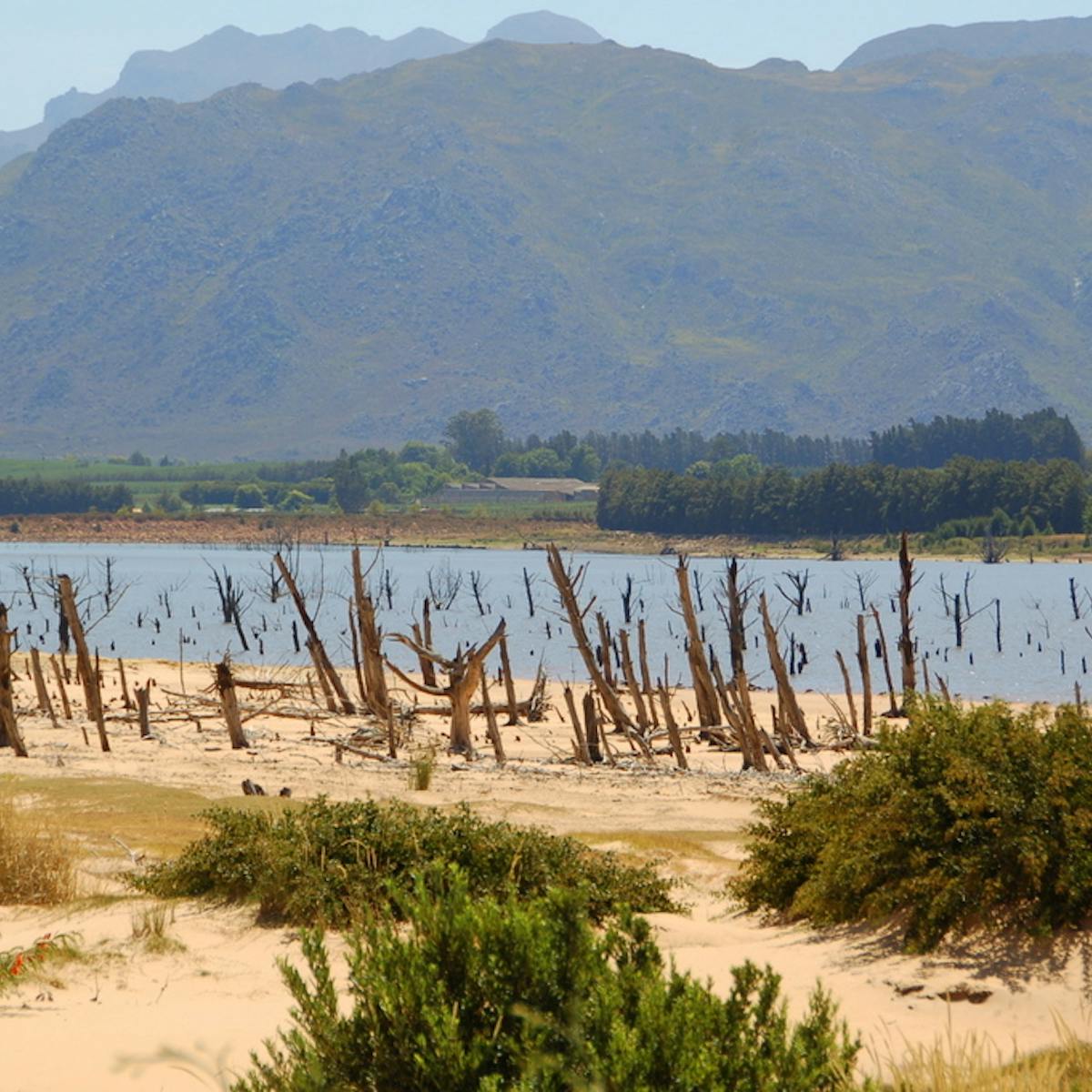 Get Why Cape Town S Drought Was So Hard To Forecast Desktop Wallpaper Wallpaper Why Cape Town S Drought Was So Hard To Forecast Free