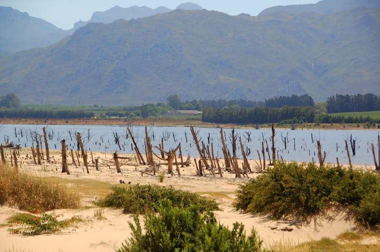 Cape Town’s drought and associated water shortage has escalated disaster level. Flickr Cape Town’s drought and associated water shortage has escalated disaster level. Flickr
