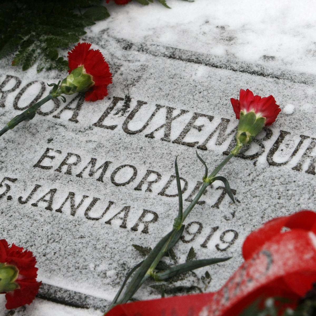 Get Rosa luxemburgo zitat For Free Rosa Luxemburgo Zitat