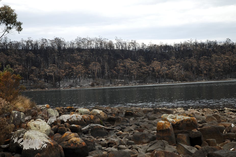 Квадратный трехчлен: Учебно методическое