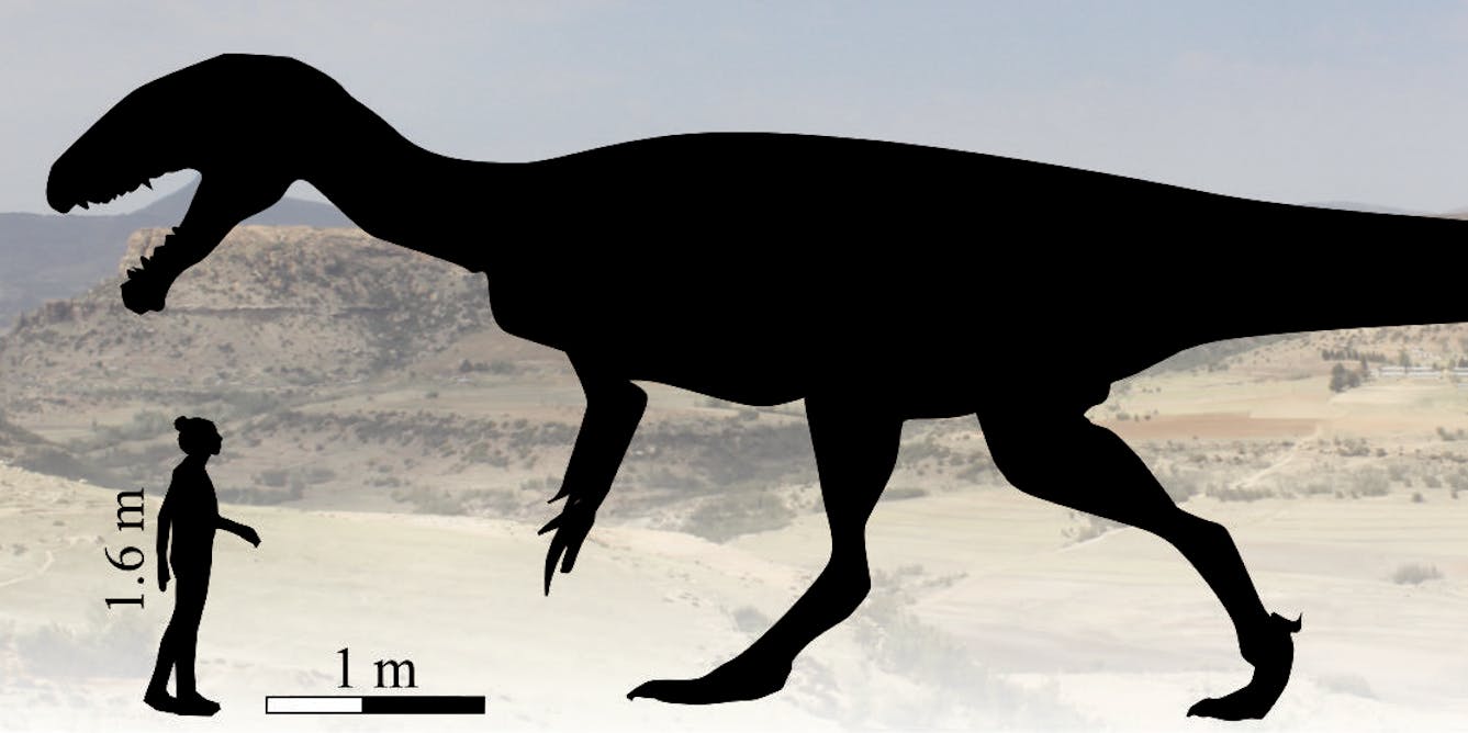 File:Dinosaur track.jpg - Wikimedia Commons