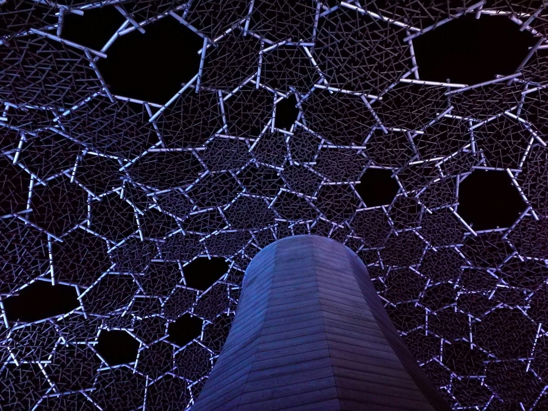 Biomimétisme Sinspirer De La Nature Pour Rendre L