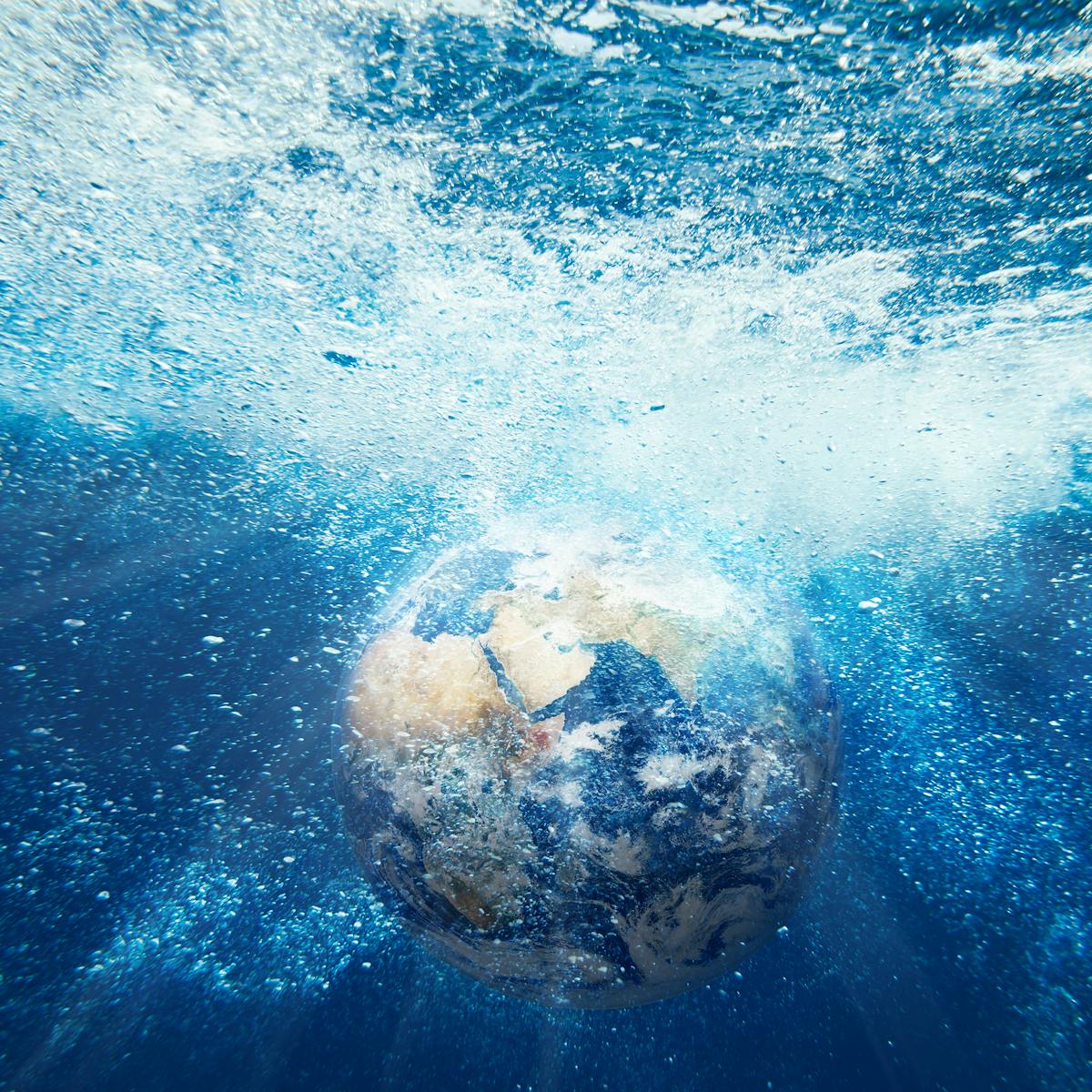 Blue Planet Ii Is The Ocean Really The Largest Habitat On Earth Blue Planet Ii Is The Ocean Really The Largest Habitat On Earth