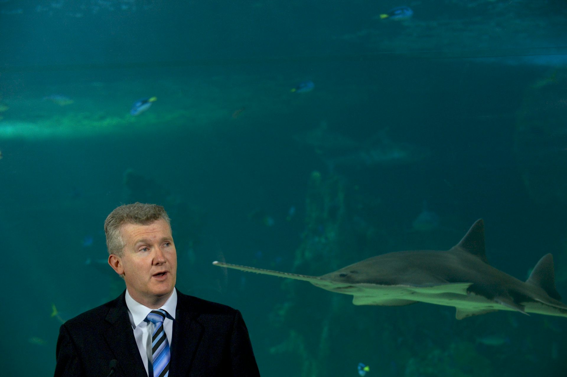 Australia’s new marine protected areas: why they won’t work