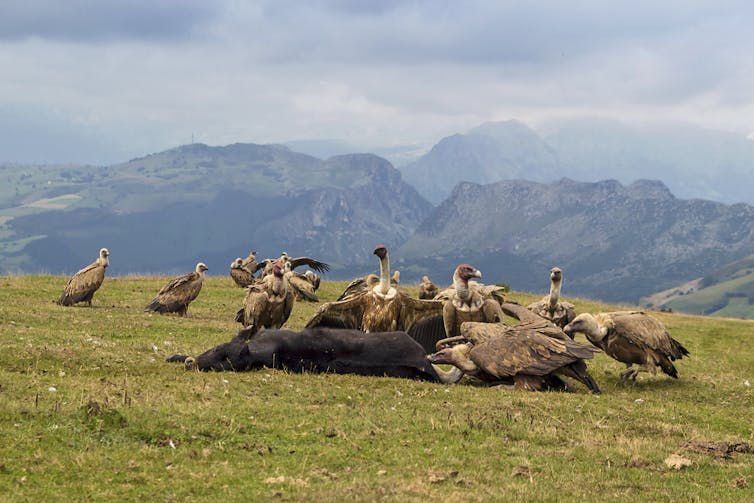 File 20171103 26472 fm5zvv.jpg?ixlib=rb 1.1