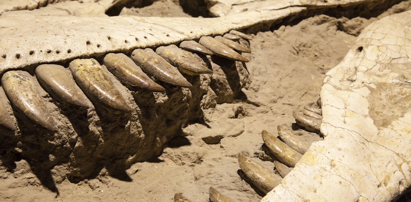 How some dinosaur discoveries might be wishful scientific thinking