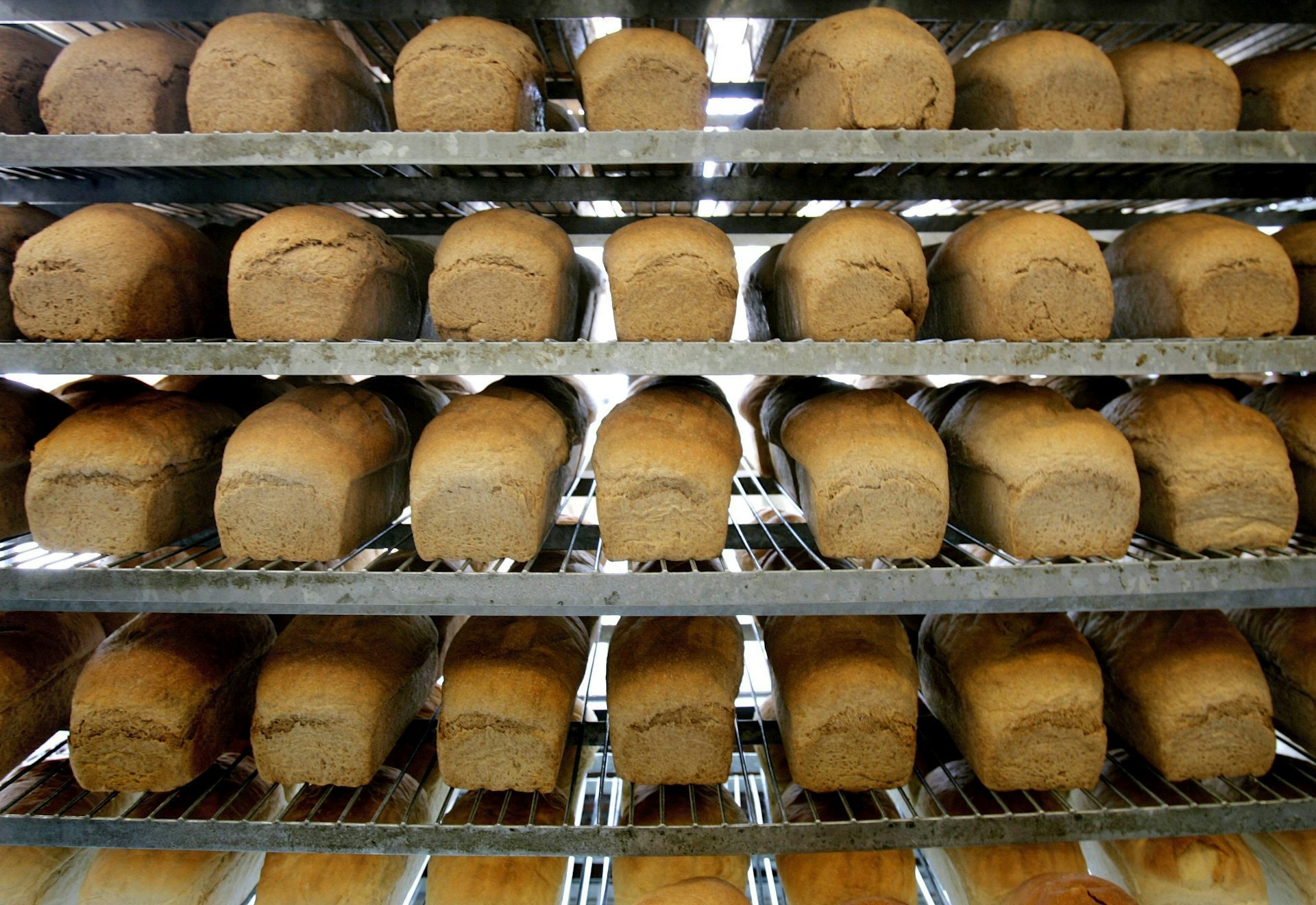 Лотки для хлеба