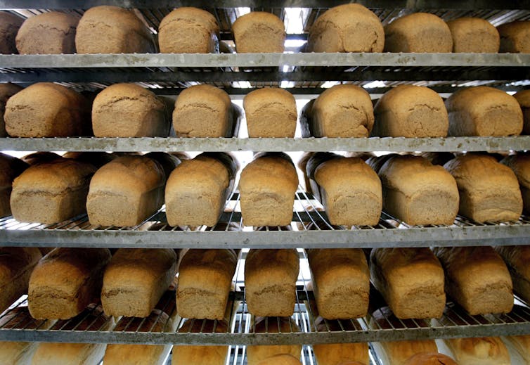 File 20171105 1055 1yynse8.jpg?ixlib=rb 1.1