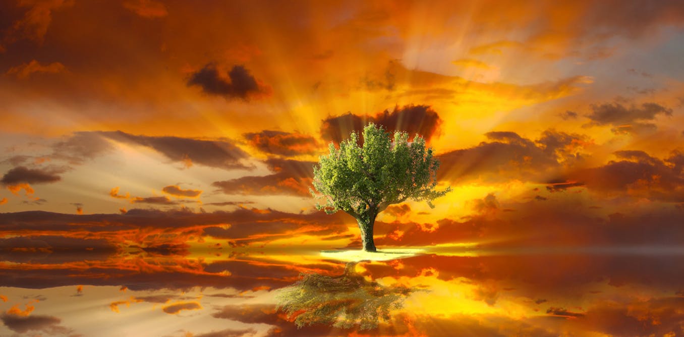 Life of Pi's acidic island a warning for our warming world