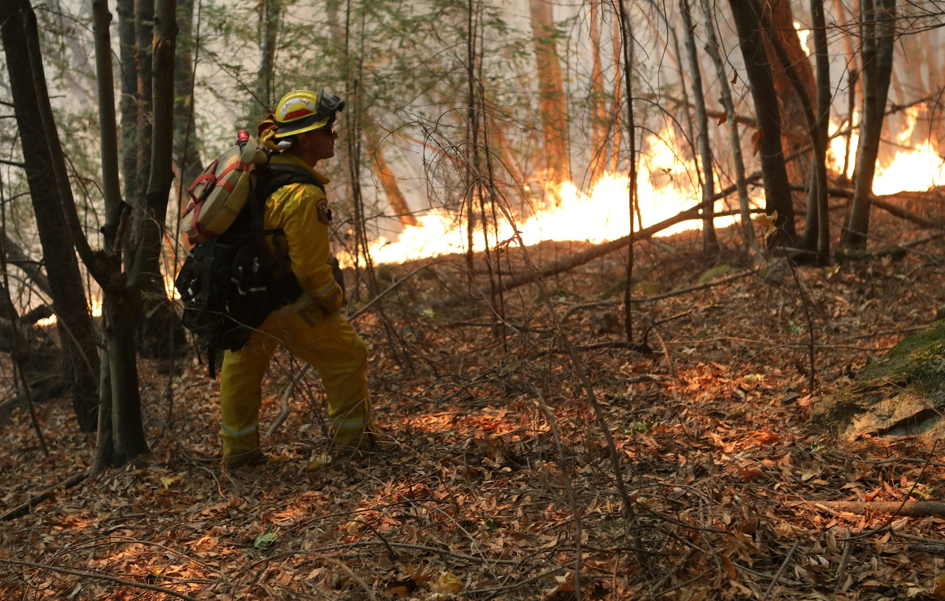 Explainer back burning and fuel reduction
