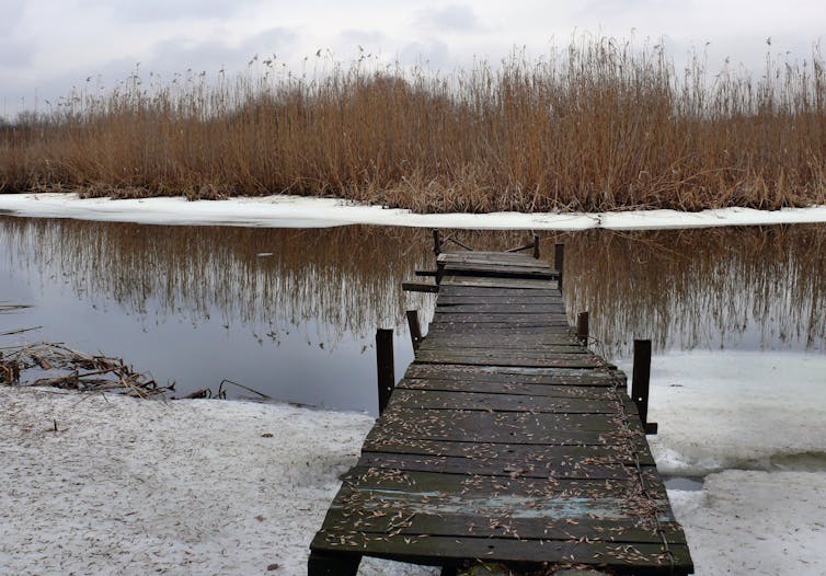 File 20171109 13344 2wzmr2.jpeg?ixlib=rb 1.1