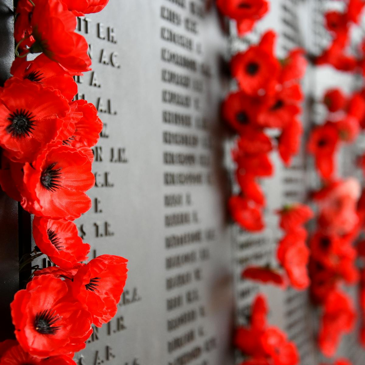 Flowers Remembrance And The Art Of War