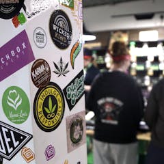 Cannabis News Research And Analysis The Conversation Page 5