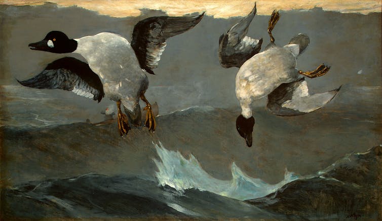 waterfowl Winslow Homer Thanksgiving